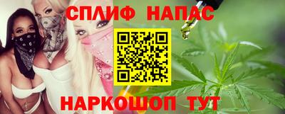 дмт Гатчина
