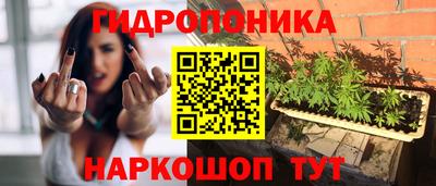 ALPHA PVP Гусев