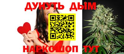 дмт Гатчина