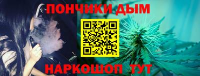 дмт Гатчина