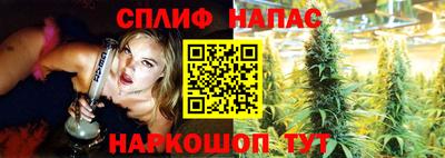 прущие крисы Гай