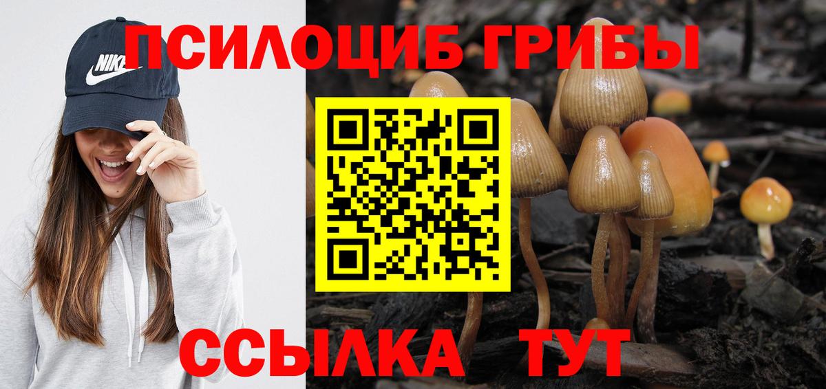 Мичуринск  Галлюциногенные грибы ЛСД  Вход с VPN 
